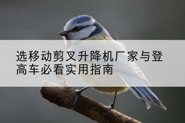 元谋电动升降机厂家-选移动剪叉升降机厂家与登高车必看实用指南