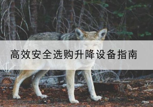 元谋升降货梯厂家推荐-*安全选购升降设备指南
